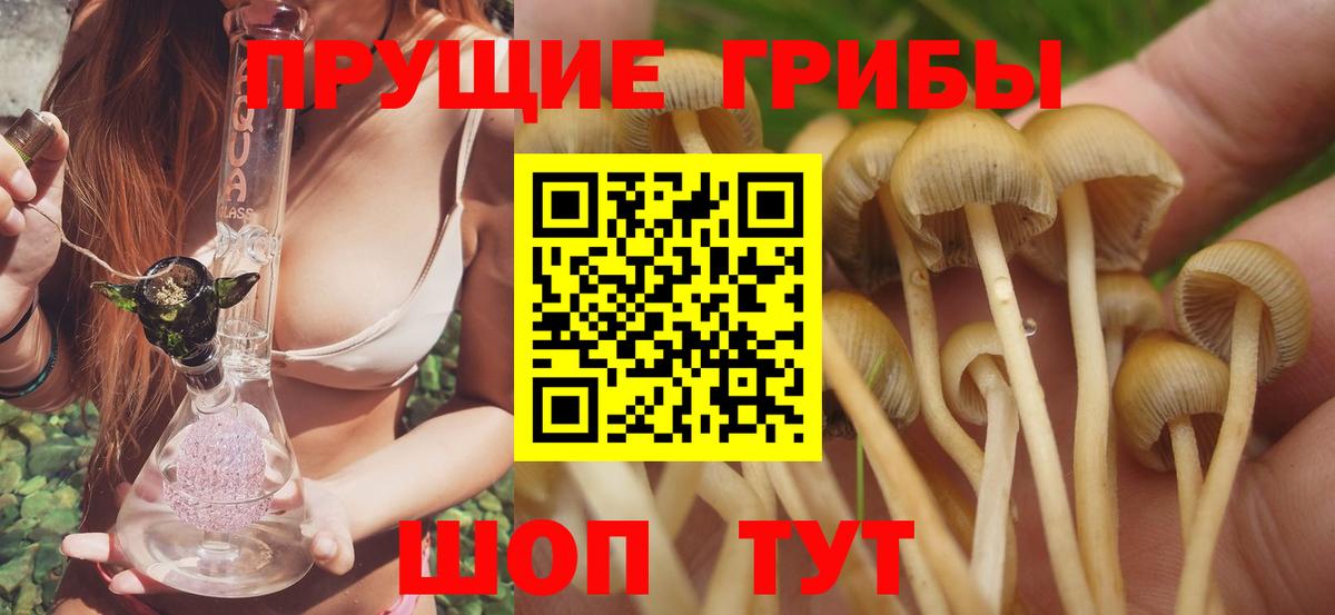 Галлюциногенные грибы прущие грибы Кулебаки