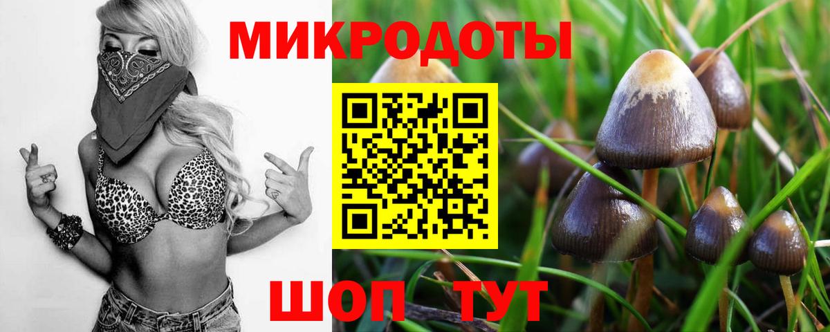 Псилоцибиновые грибы GOLDEN TEACHER  Вход с VPN  Псилоцибиновые грибы прущие грибы  Кулебаки 